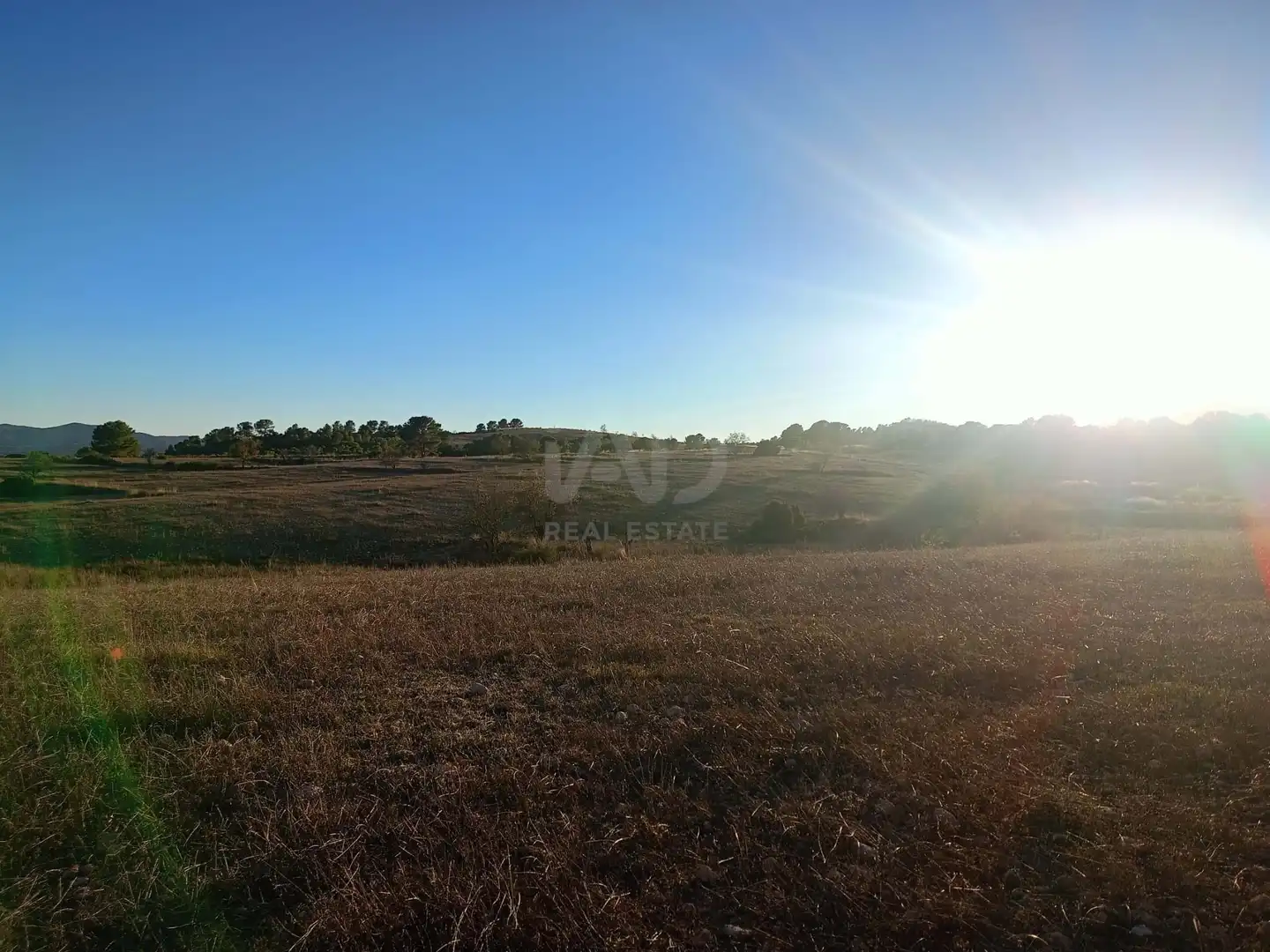 Terreno en venta en Lorca