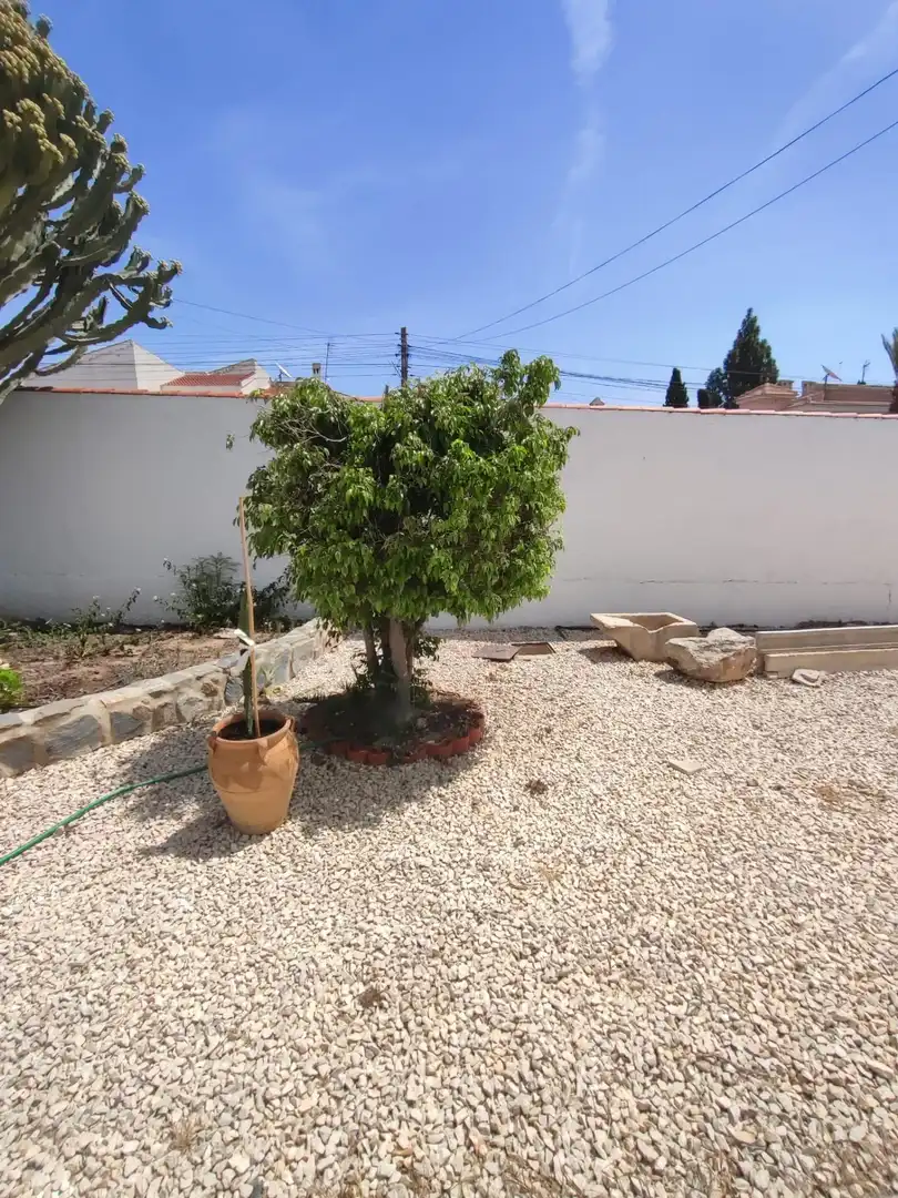 Terraza de Casa o chalet de alquiler en Rojales con Jardín privado, Terraza y Trastero