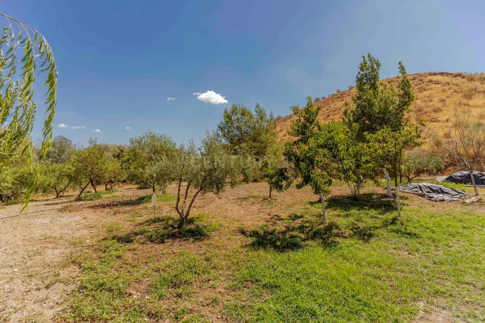 Casa o chalet en venta en Huelma con Jardín privado y Sauna