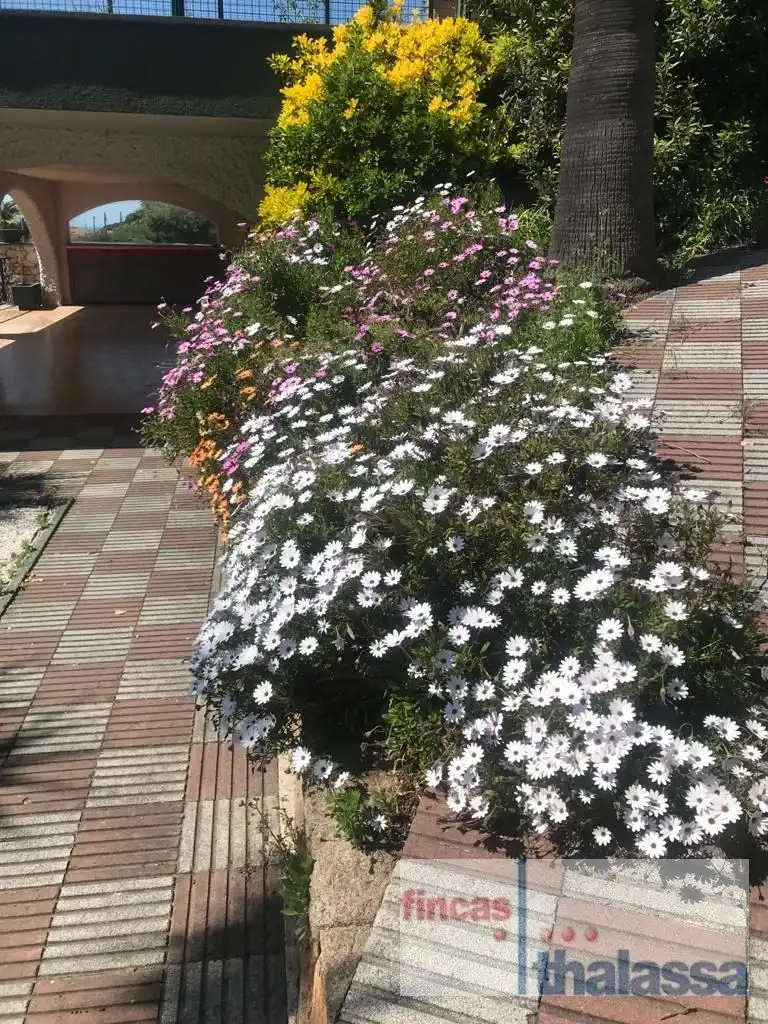 Casa con piscina en venta en canigo, imagen 5