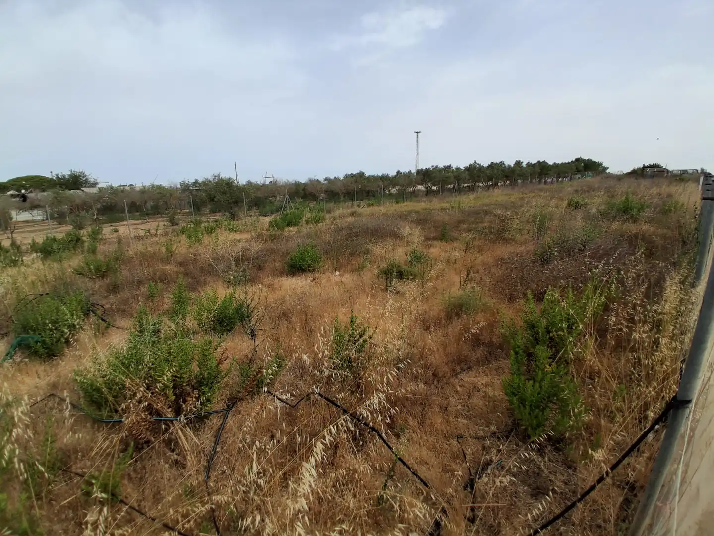 Residential land for sale in Pinar de la villa