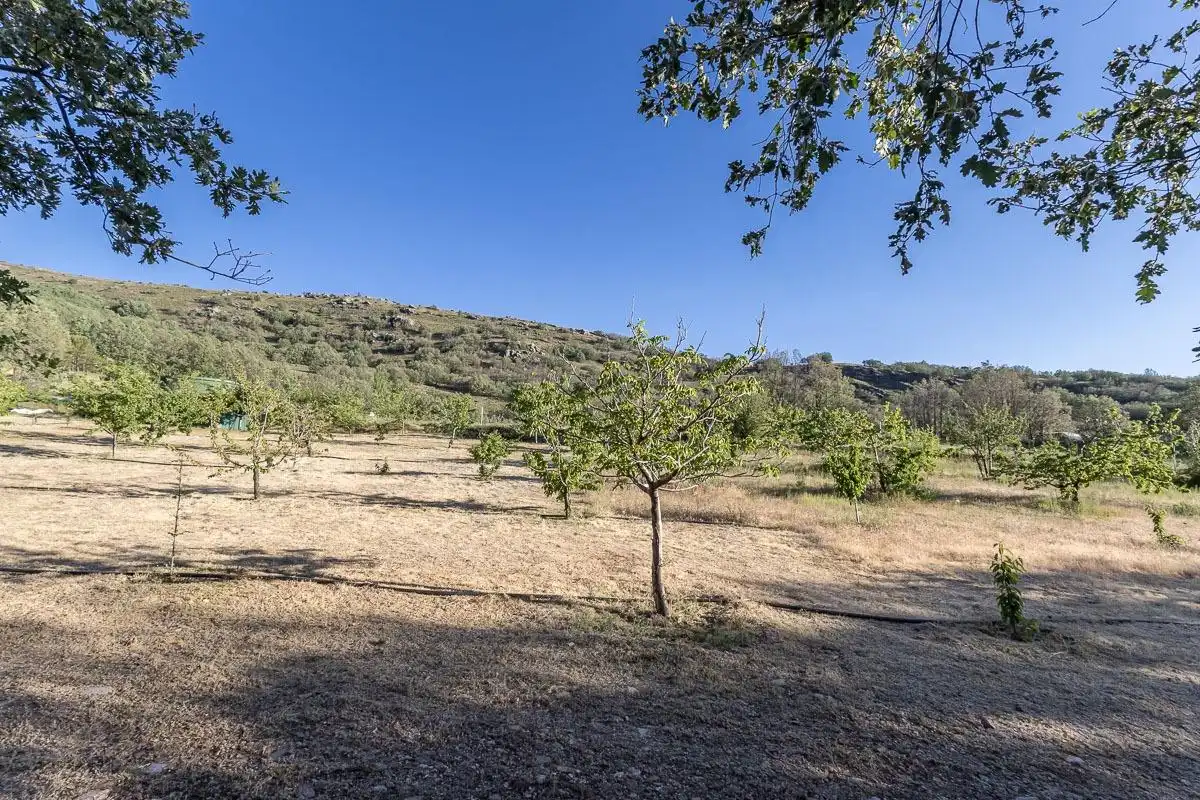 Finca rústica en venta en Güéjar Sierra