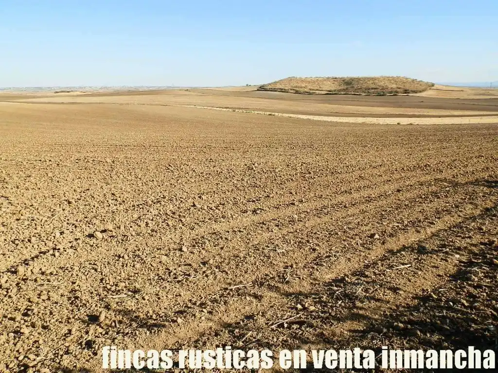 Terreni e lotti in vendita a Bargas, imagen 15
