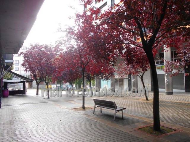 Local comercial en Venta en Elexalde Etorbidea en Aldekoena - Artatzagana - Sarriena