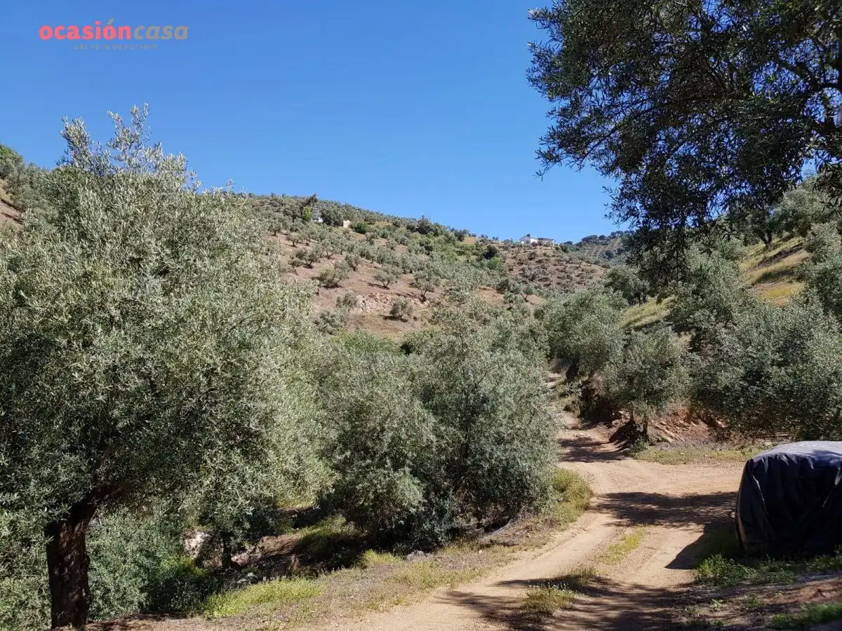 Vista exterior de Finca rústica en venta en Villanueva de Córdoba con Jardín privado, Trastero y Amueblado