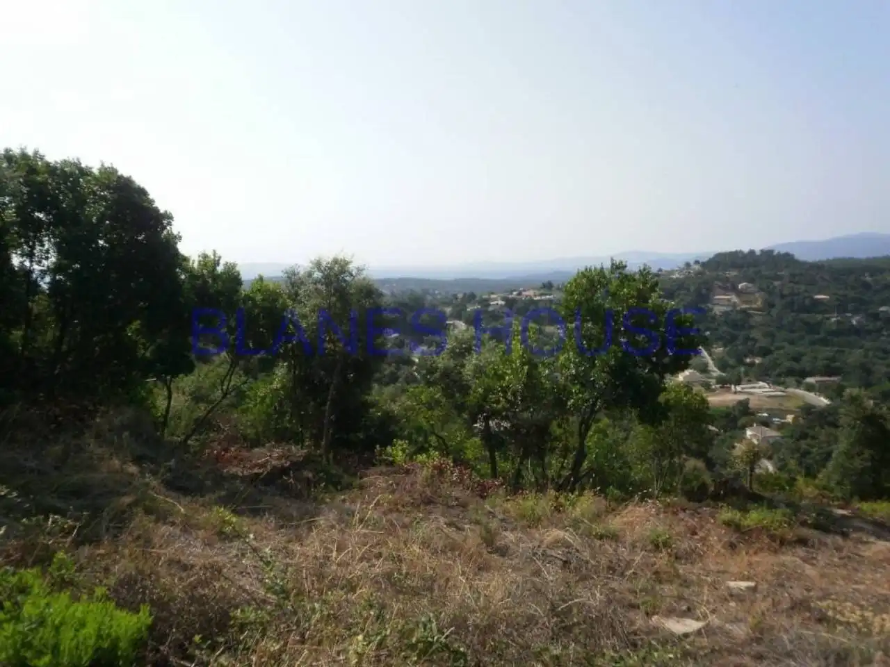 Terreno residencial en venta en Riudarenes, imagen 4
