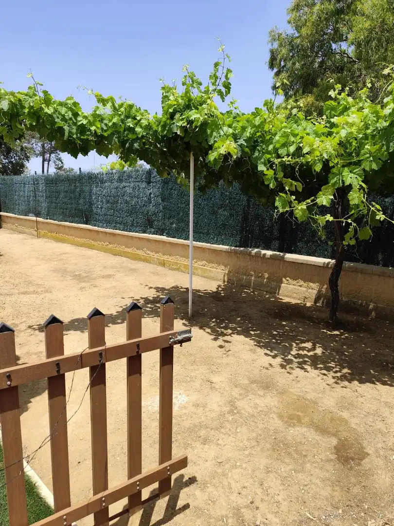 Maison avec jardin à vendre à Calle Baden powell, imagen 25