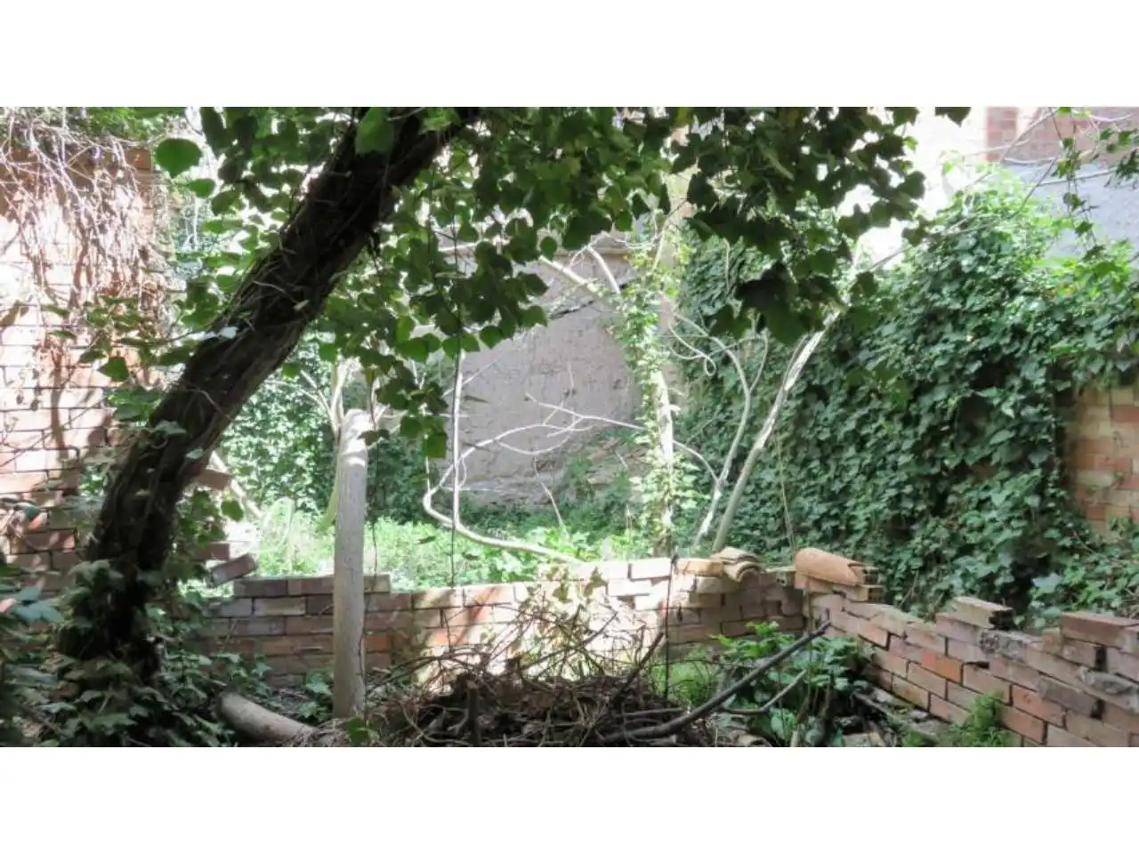 Jardín de Casa o chalet en venta en Sant Martí de Riucorb con Terraza