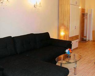 Living room of Apartment to rent in A Coruña Capital   with Furnished and Pets allowed