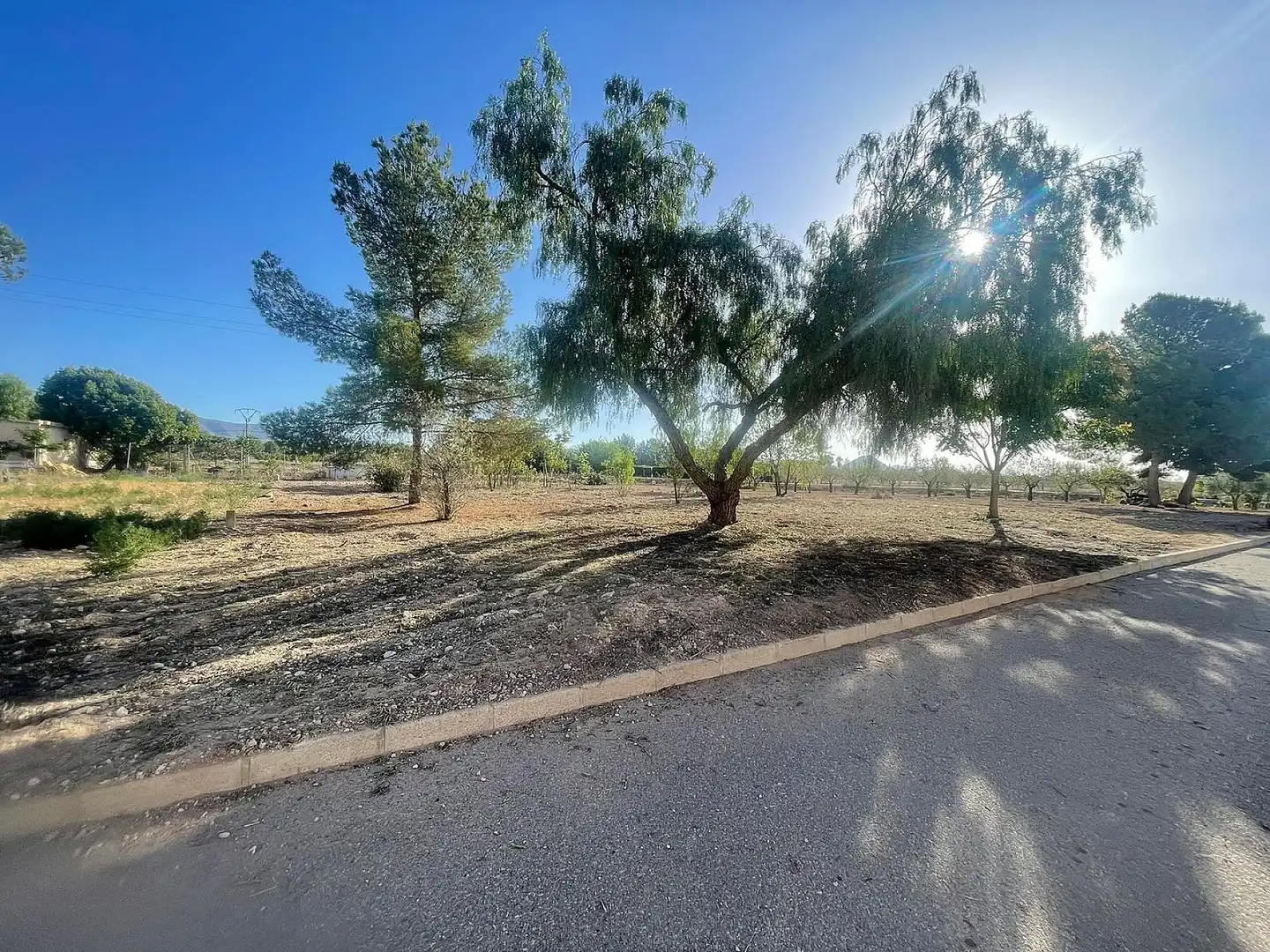 Terreno residencial en venta en El Pinós / Pinoso, imagen 6