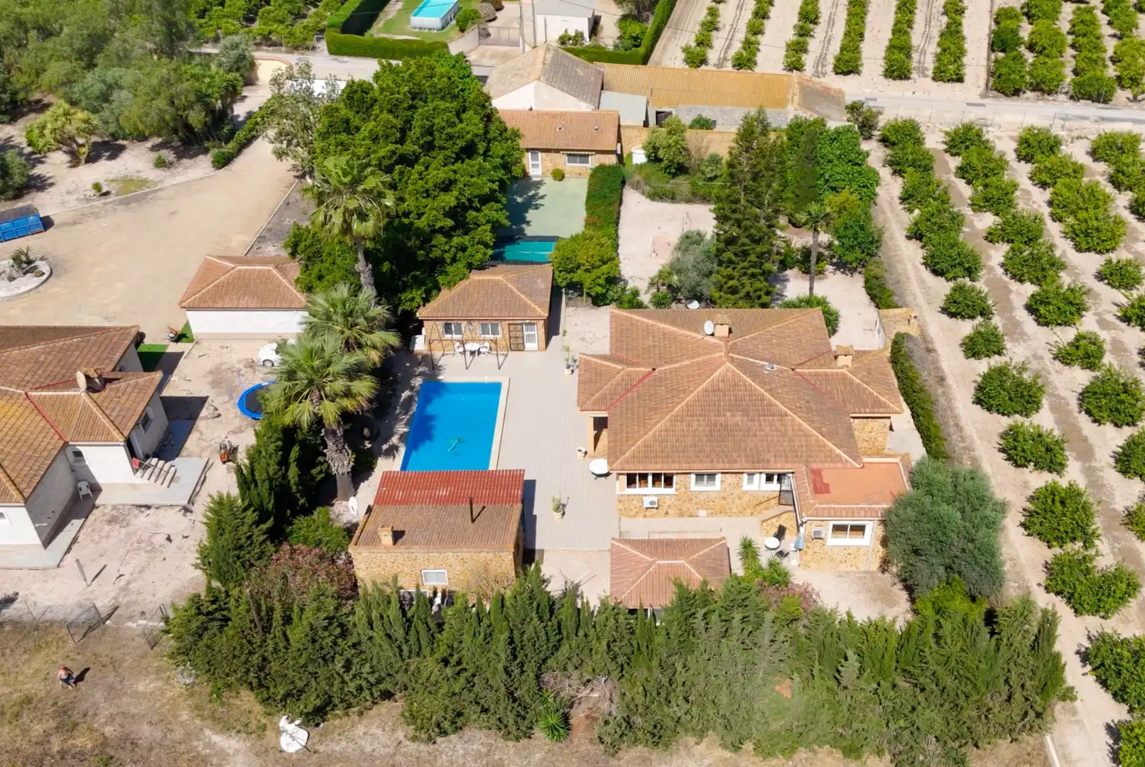 Vista exterior de Finca rústica en venda en Daya Vieja amb Terrassa i Piscina