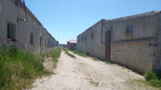 Terreno en Venta en Pedrosillo de Alba