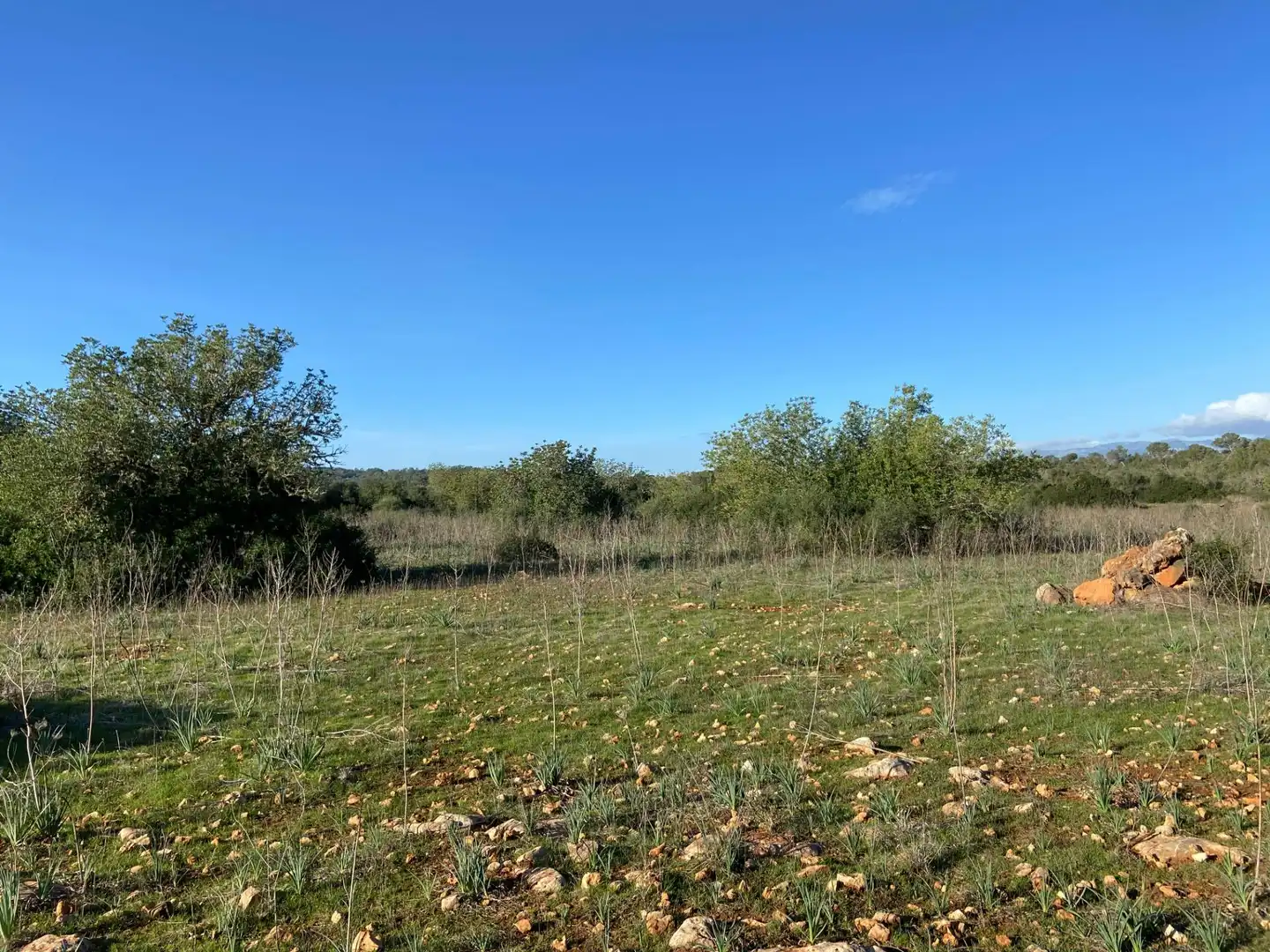 Maison rustique à vendre à Sineu, imagen 19