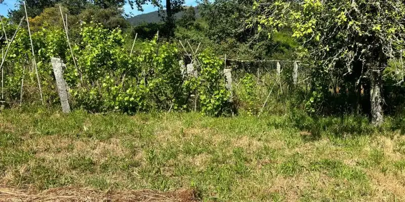 Casa o chalet en venta en Ponte Caldelas con Jardín privado y Trastero
