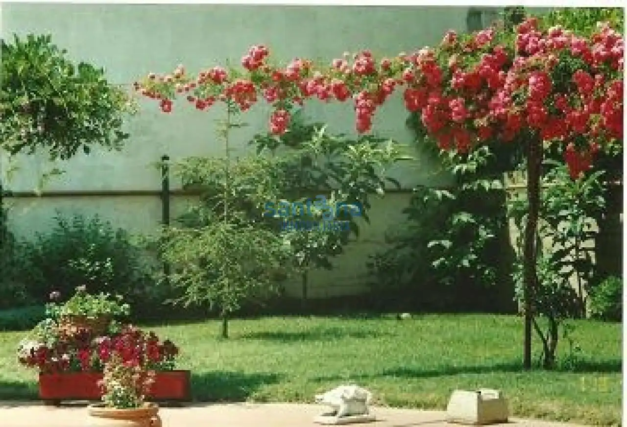 Jardín de Local en venta en Cebrones del Río