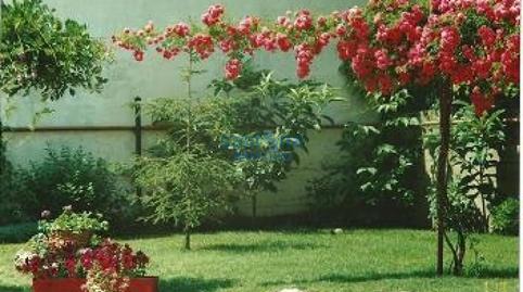 Foto 4 von Geschaftsraum zum Verkauf in Cebrones del Río, León