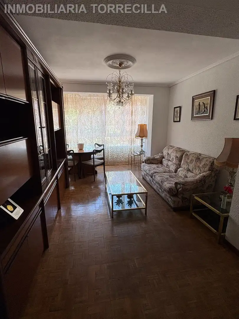 Sala d'estar de Pis en venda en Valladolid amb Calefacció, Parquet i Terrassa