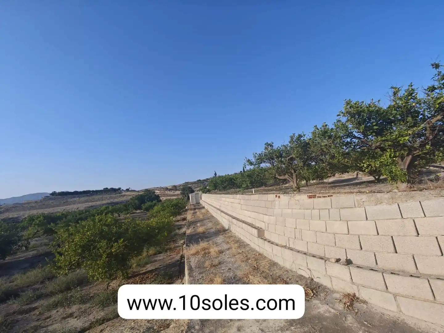 Terreno rustico in vendita a Desamparados - Hurchillo - Torremendo, imagen 8