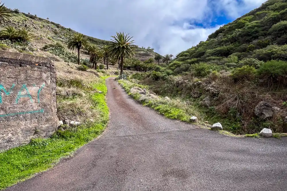 Terreno en venta en Calle Manantiales, -1, Vallehermoso