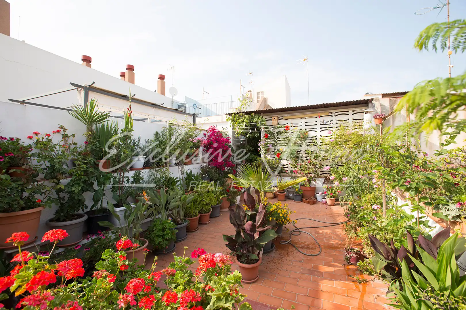 Mixte résidentiel à vendre à Carrer Major, imagen 36