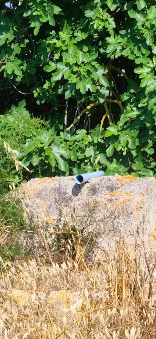 Terreno rustico in vendita a Cami de Son Mieres, imagen 6