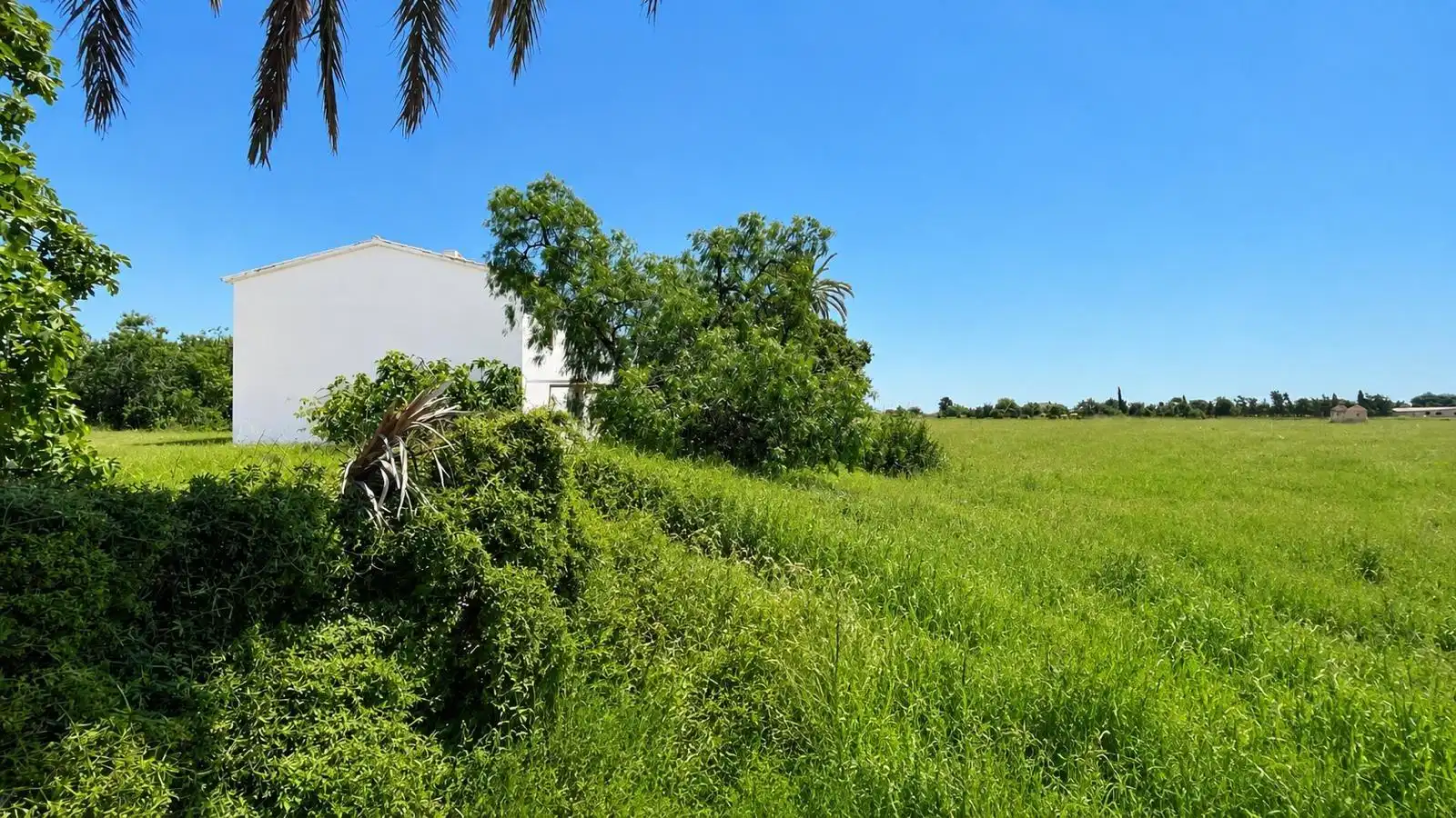 Landhaus mit Garten zum Verkauf in Platja de Palma, imagen 13