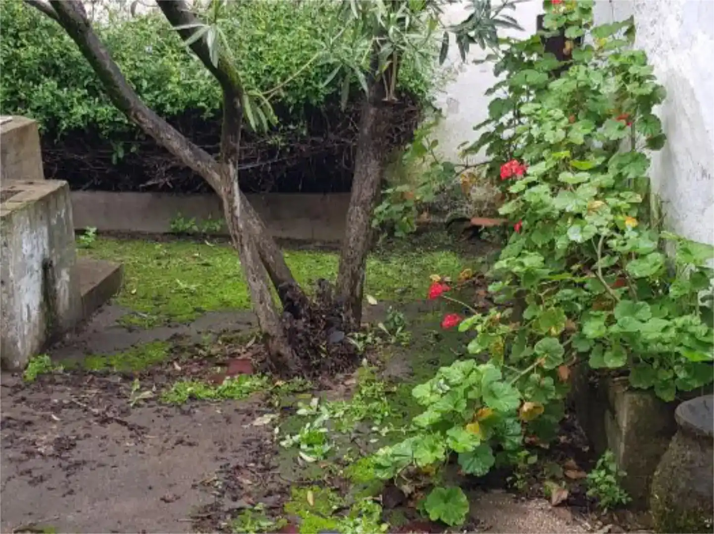 Jardí de Pis en venda en Atalaya amb Balcó