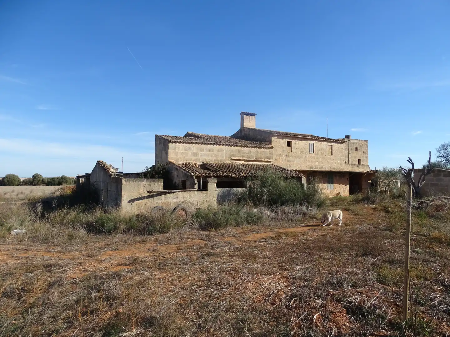 Vista exterior de Casa o xalet en venda en Campos amb Terrassa