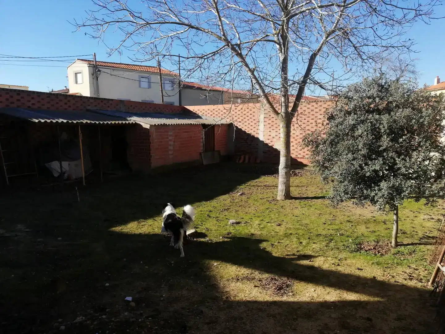 Jardín de Terreno en venta en Cantalpino, Salamanca
