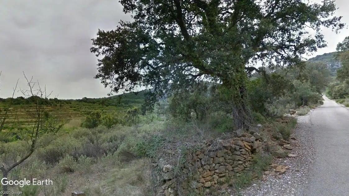 Terreno rústico en venta en Albocàsser, imagen 2