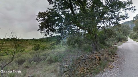 PARCELA PARA RECREO, HUERTO, ANIMALES, immagine 2