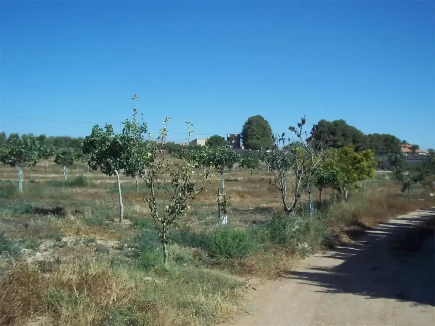 Casa o chalet en venta en Lorca con Aire acondicionado
