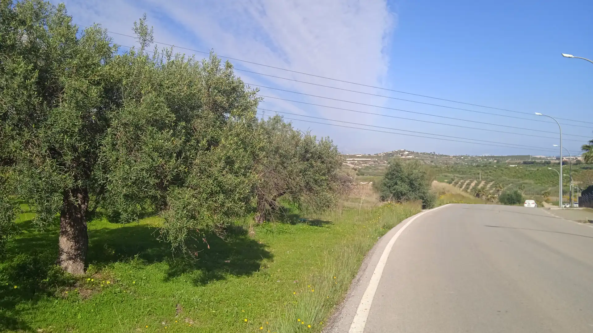 Rustikales Grundstück zum Verkauf in Camino Cuesta del Palmar 34, imagen 8