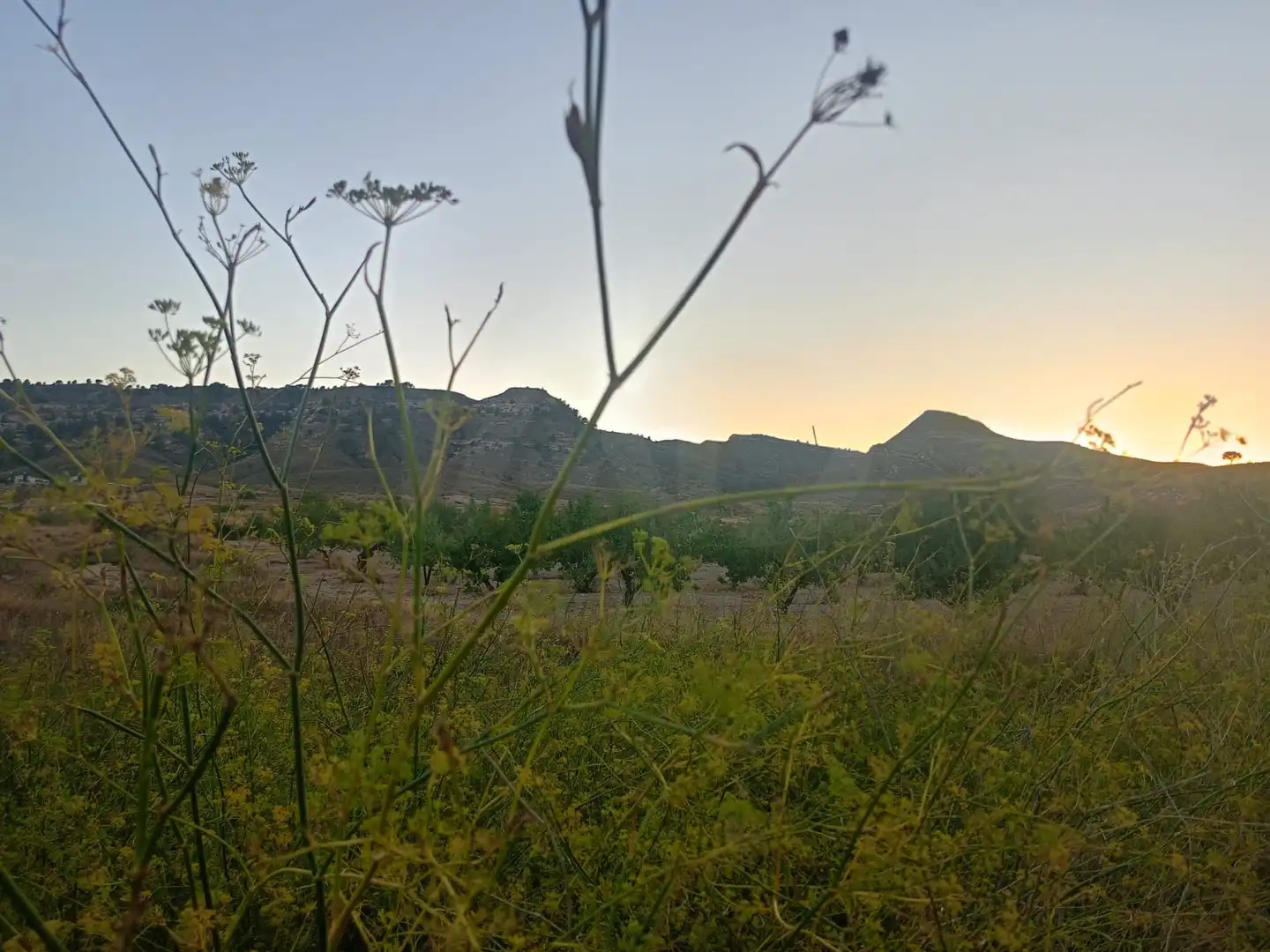 Residencial en venda en Lorca