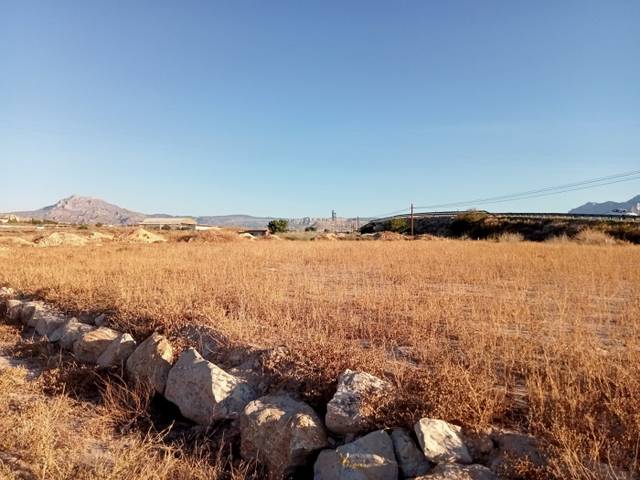 Terreno residencial en Venta en La Huerta