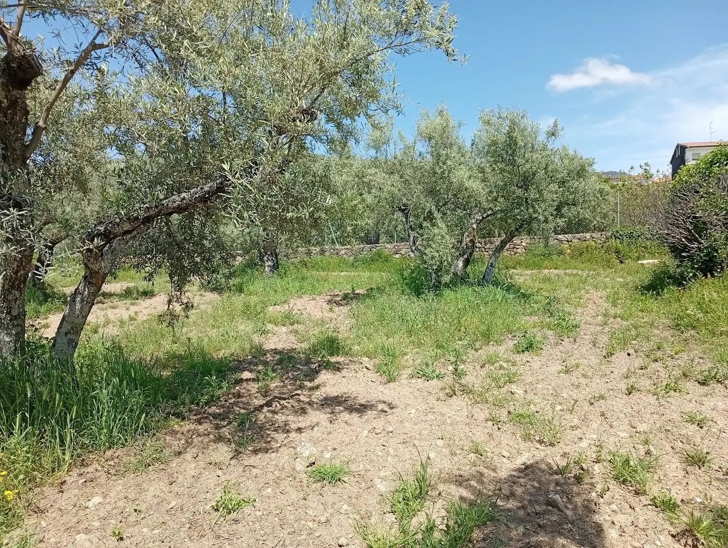 Terreni e lotti in vendita a Villanueva de la Vera, imagen 59