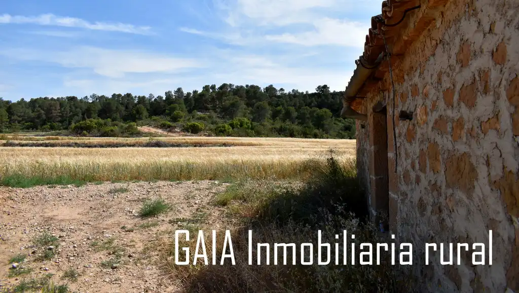 Casa rústica en venda a Maella, imagen 14