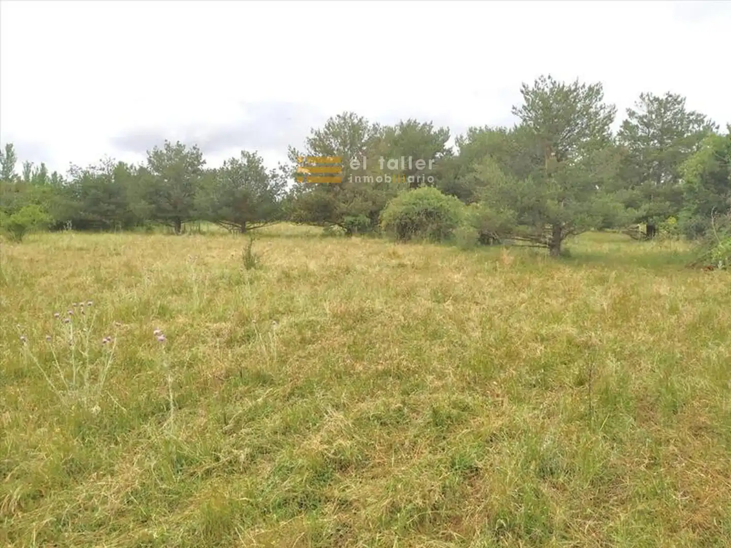 Land for sale in Salamanca