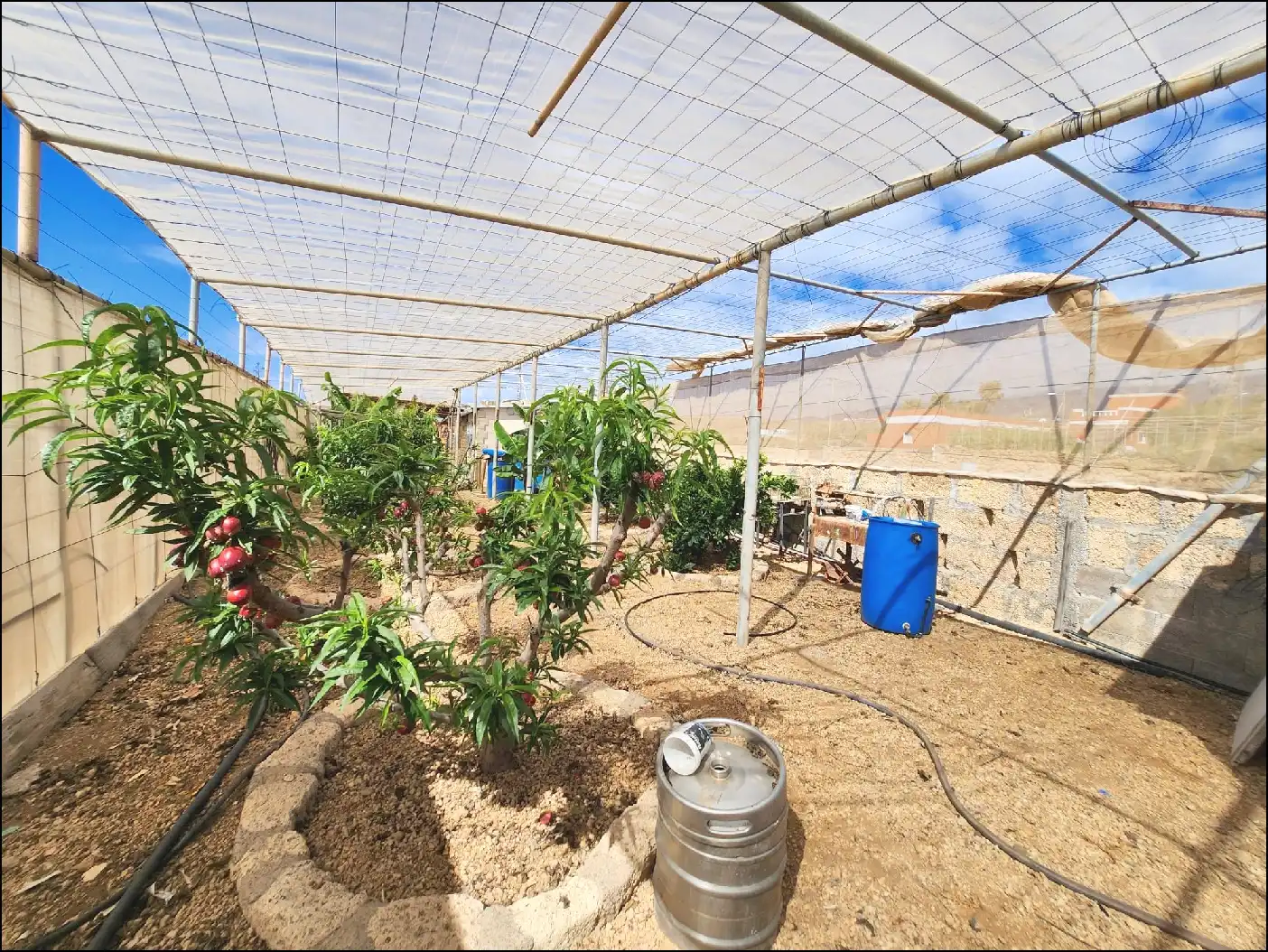 Jardí de Finca rústica en venda en Arico amb Terrassa i Moblat