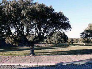 Residencial en venda a Calle de la Jacaranda, 9, Carrascal de Barregas