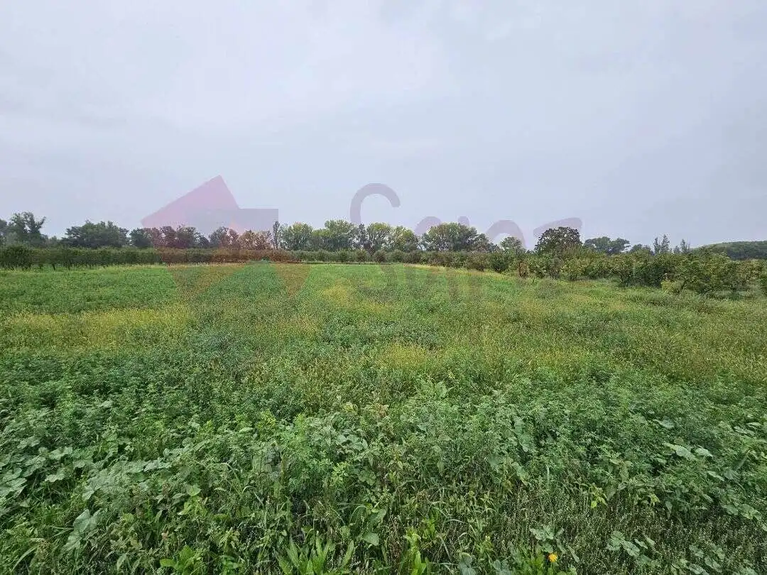Terreno rustico in vendita a N-232, imagen 3