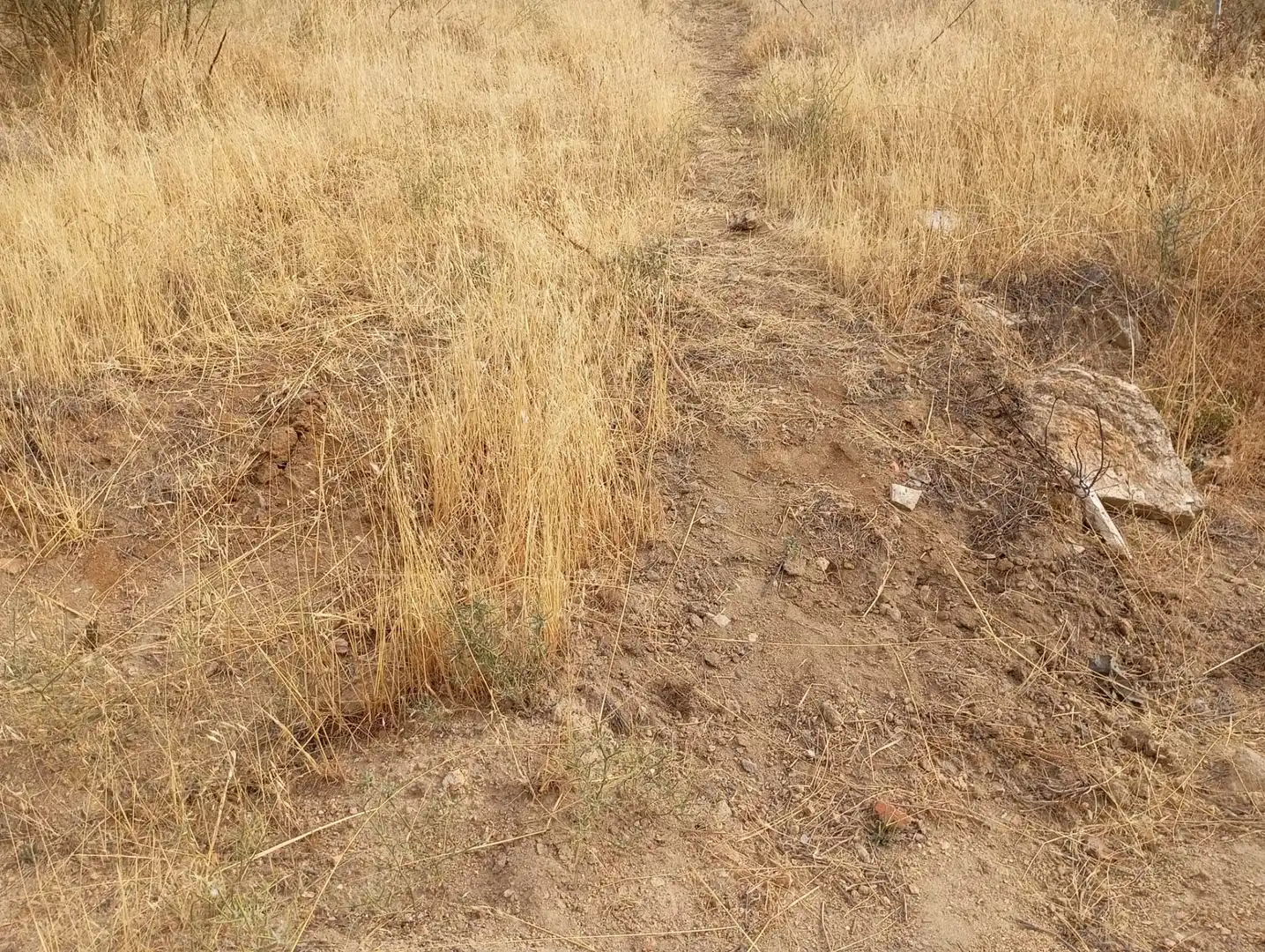 Terrenos y solares en venta en Robledo de Chavela, imagen 20