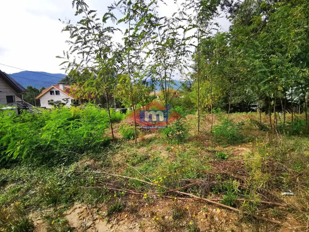Terreno rústico en venta en Calle rubindo, imagen 8