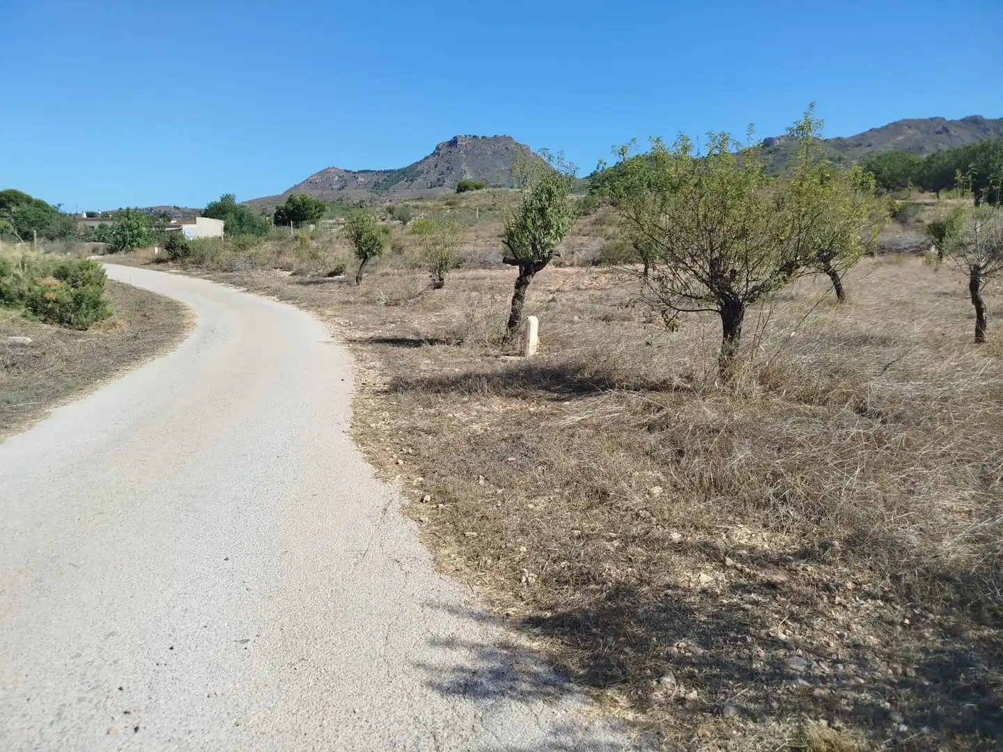Terreno rústico en venta en Pedanías Oeste