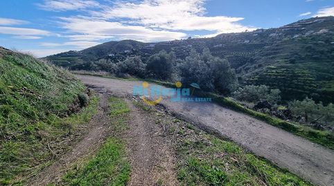 Foto 5 de Finca rústica en venta en Torrox Pueblo, Torrox