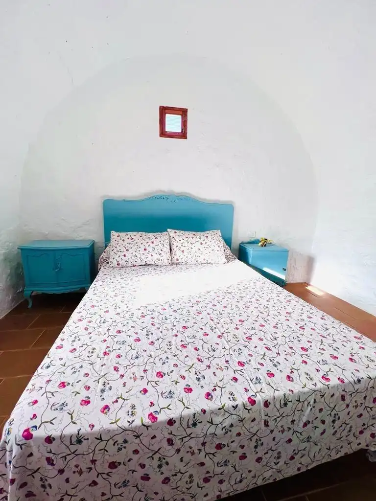 Casa rústica amb jardí en venda a San Juan de los Terreros, imagen 13