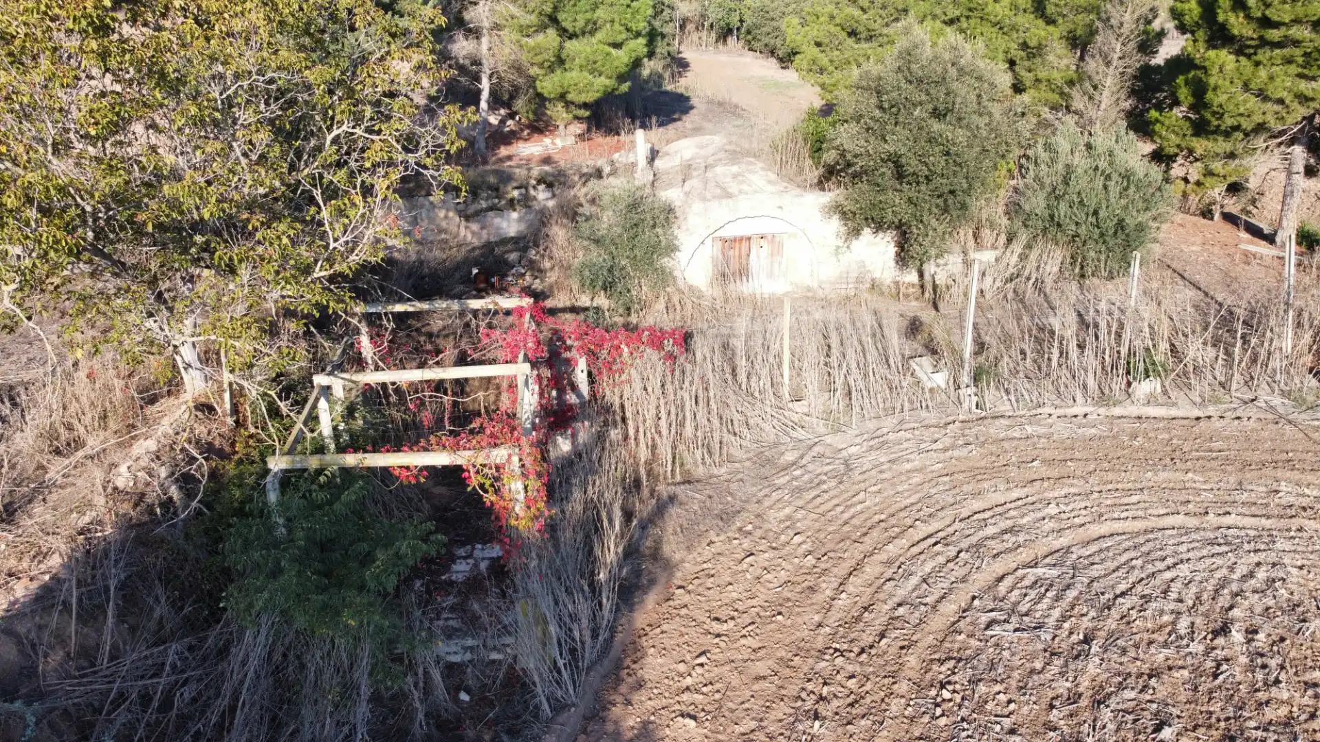 Rural land for sale in Arbeca, imagen 26
