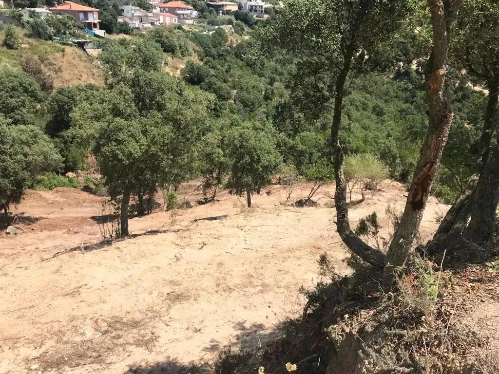 Terrenys i solars en venda a Illa