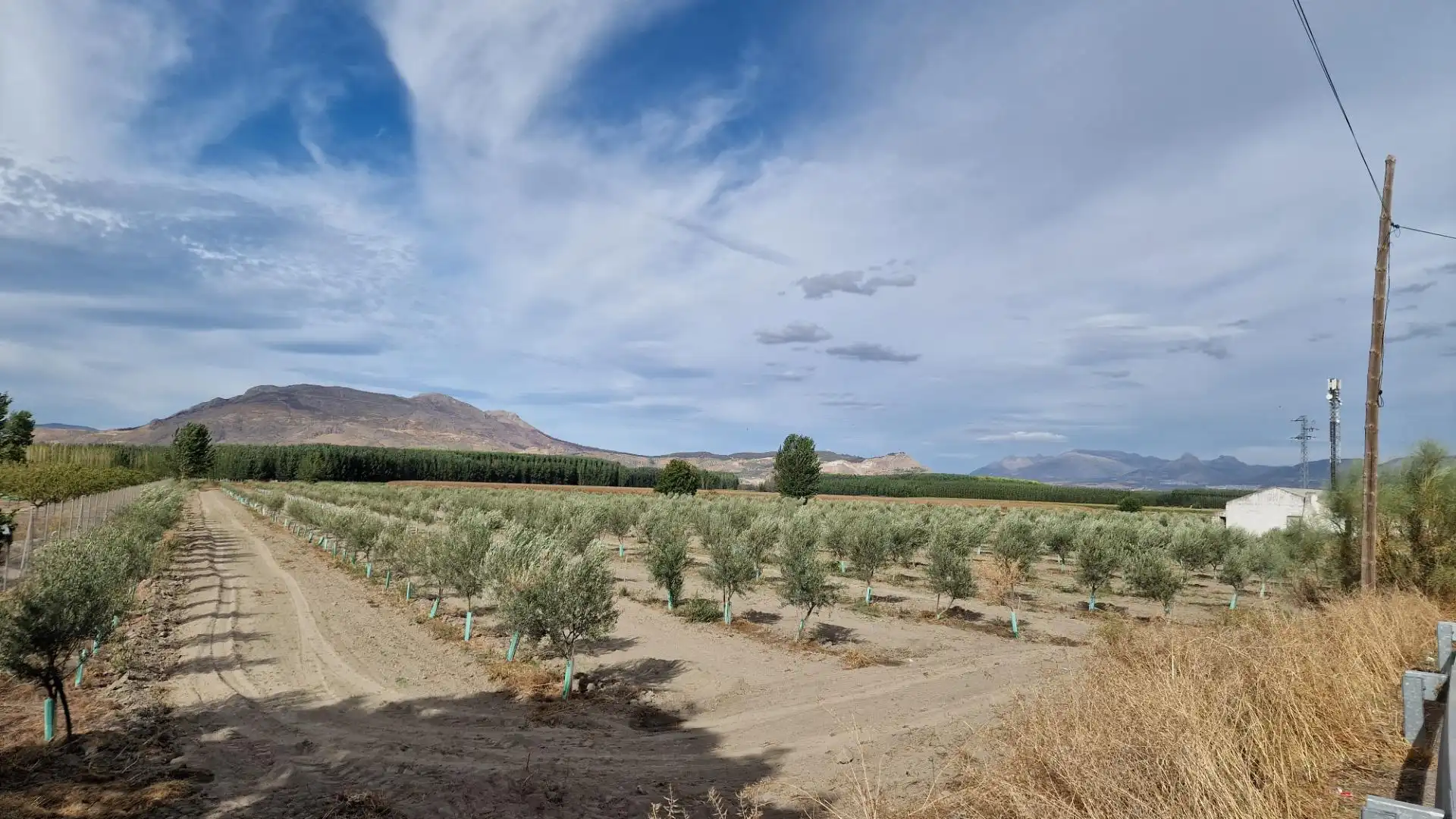 Vista exterior de Terreno en venta en Santa Fe