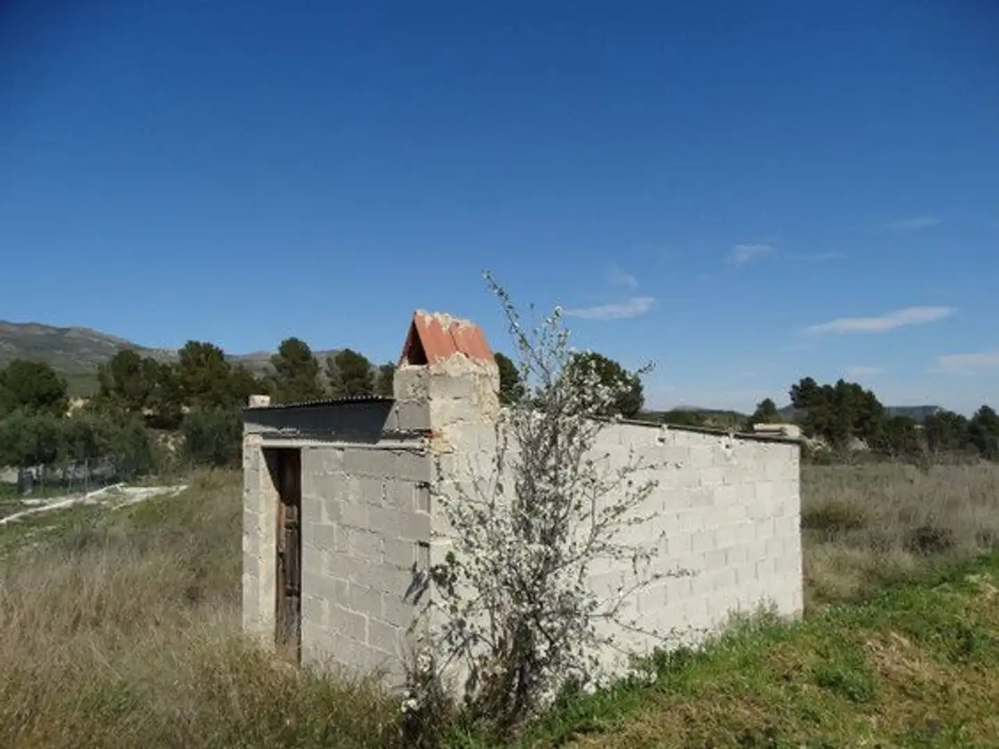 Terreny rústic en venda a Moratalla, imagen 2
